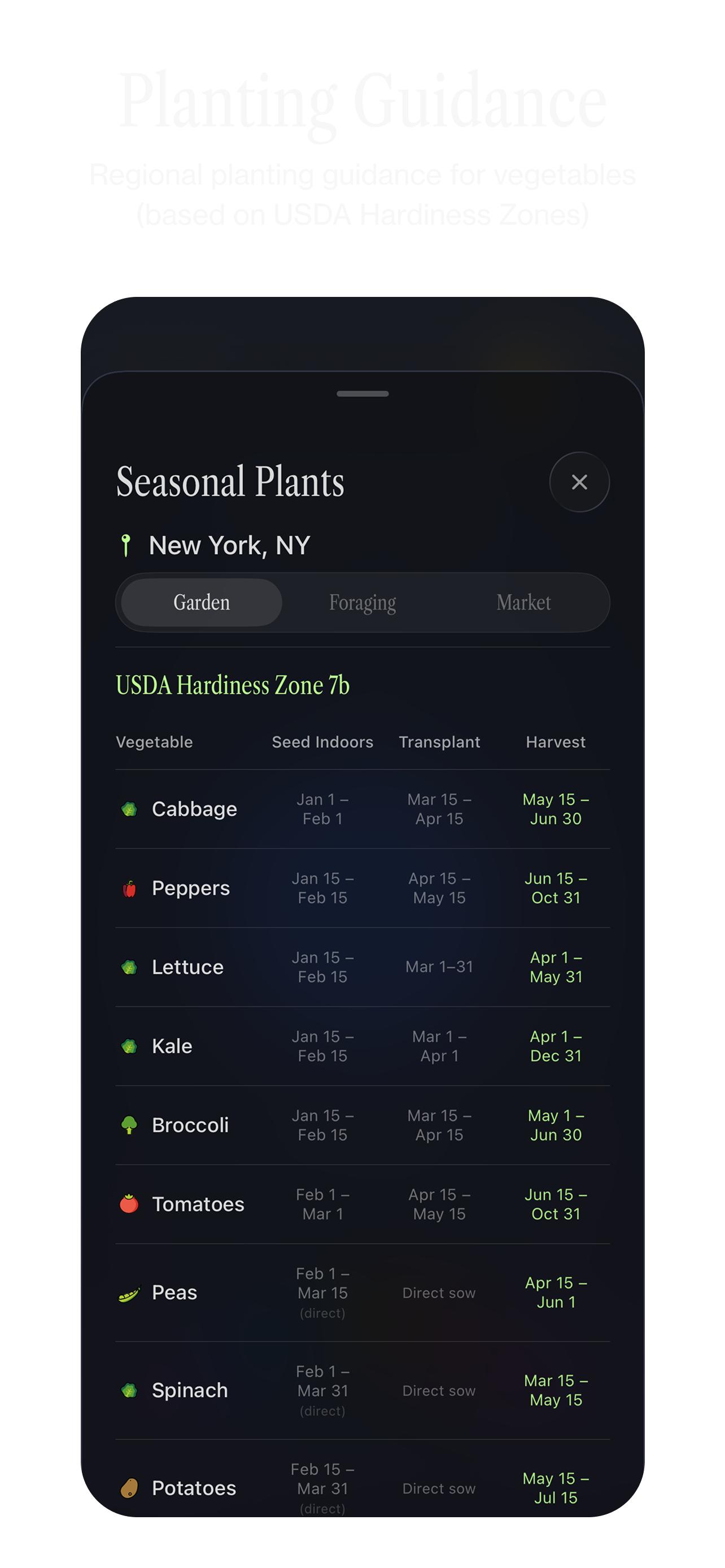 App screenshot 5